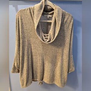 Oh, so cozy top! Green Envelope brand, gray cowl neck, short sleeve. LG large.